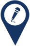 Speaker Icon